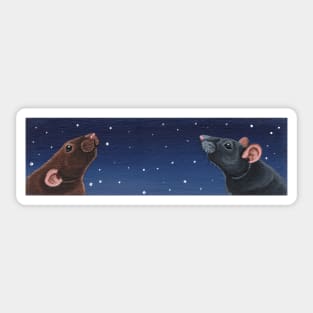 Agouti and Black Rat Stargazing Sticker